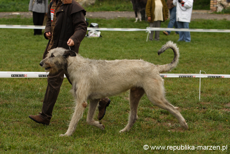 Festiwal Charta 16 XENNO vd Oelmuhle